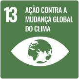 13-ação-contra-mudança-do-clima