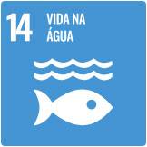 14-vida-na-água