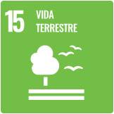 15-vida-terrestre