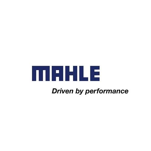 29mahle